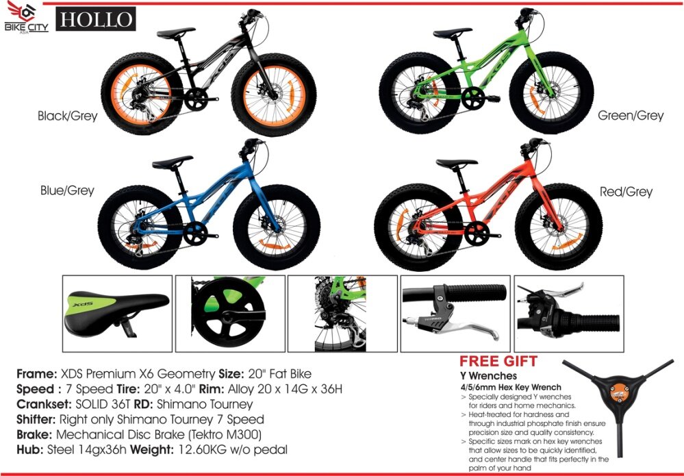 xds fat bike