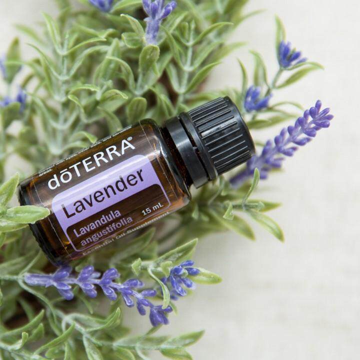 lavender doterra