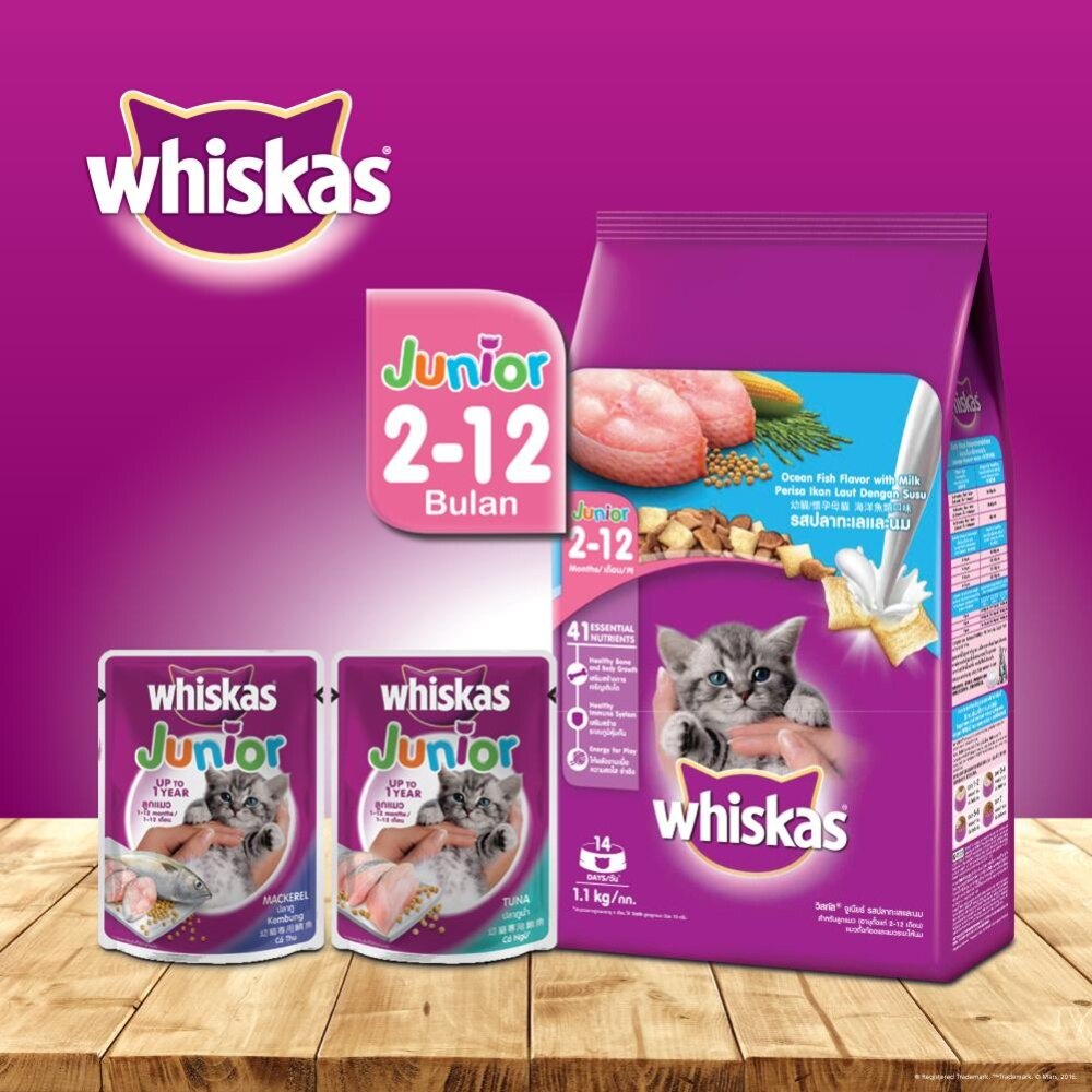 WHISKAS Junior Ocean Fish 1.1kg Dry Food Cat Food Lazada
