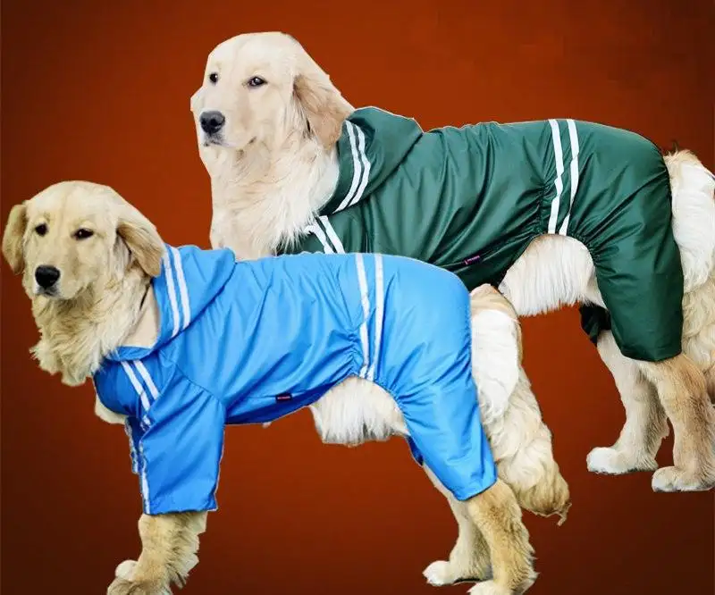 golden retriever rain jacket