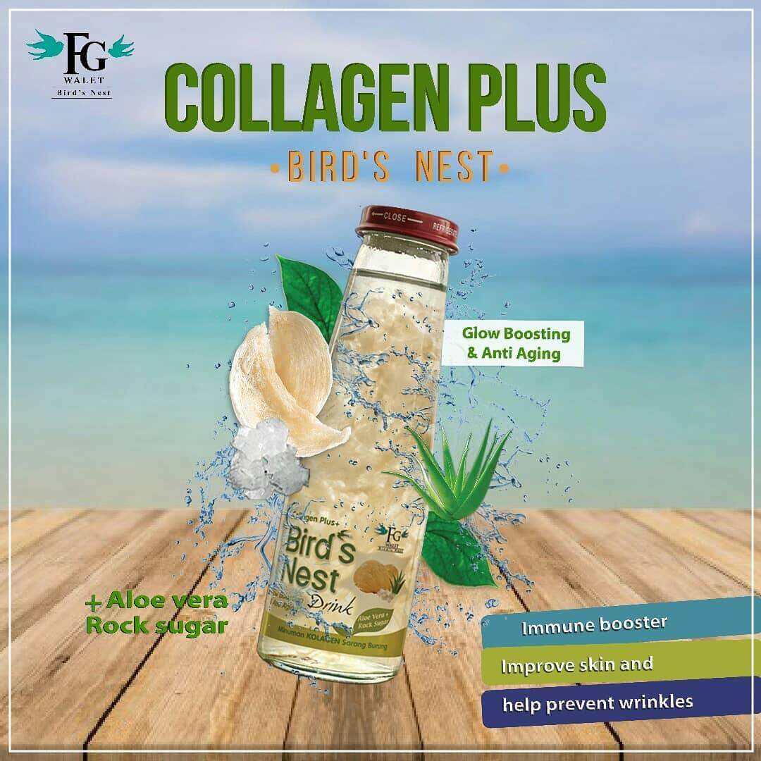 Bird's Nest Collagen drink with Aloe Vera and Rock Sugar eBay