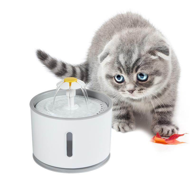 980+ Gambar Binatang Cat Air HD