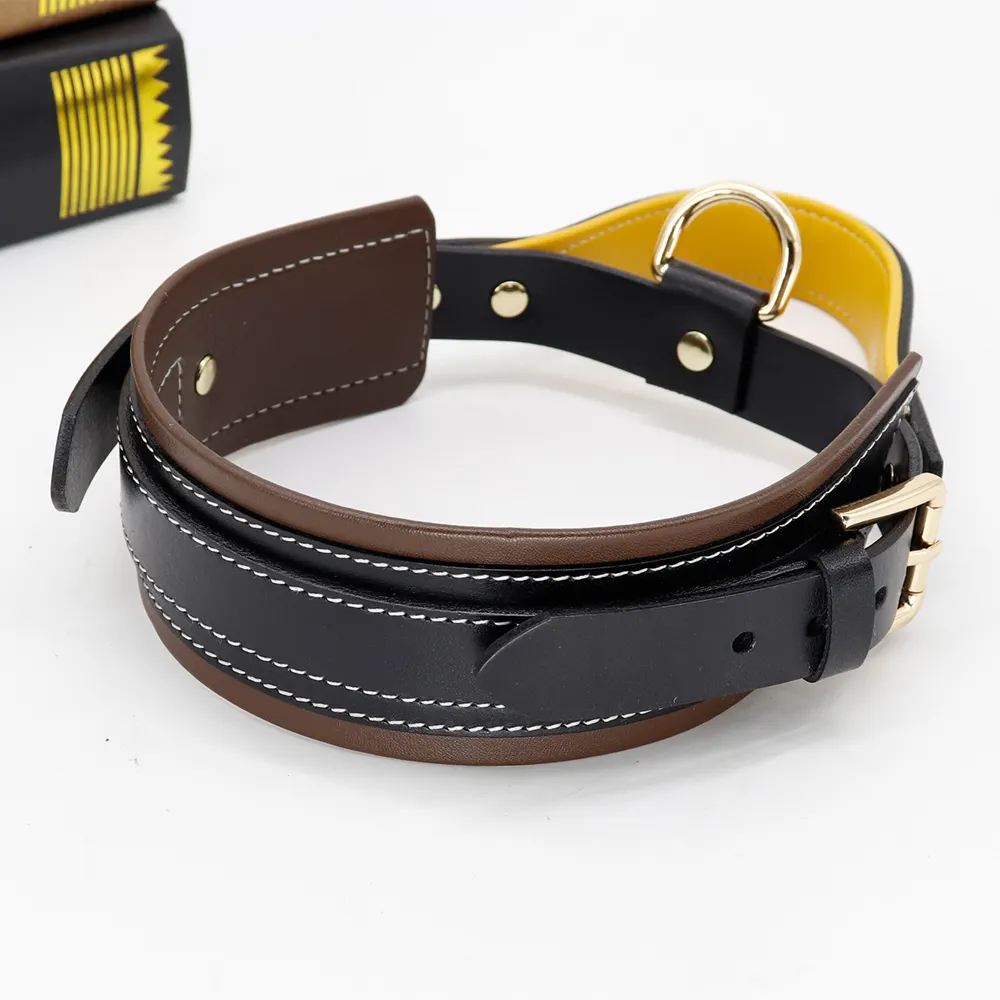 large dog collar with handle