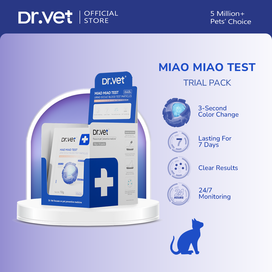 DR. VET MIAO MIAO TEST Urine Occult Blood Test Particles (10 Packs) - Jenama Dr. Vet Harga 95 Ringgit*Penghantaran Percuma