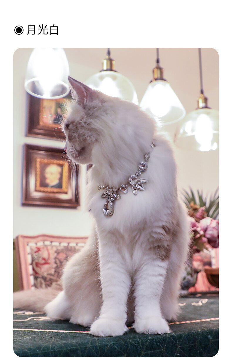 vòng cổ trang sức cho mèo arkika vòng cổ ngọc trai kim cương trang sức 14