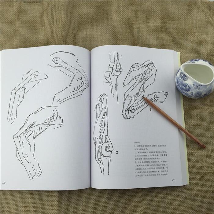 1pcs Bridgman S Complete Guide To Drawing From Life Western Body Structure Modeling Hand Painted Techniques Game Comic Sketch Lazada Ph