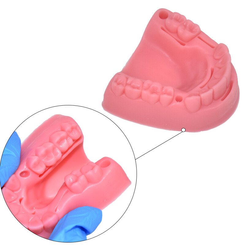 2 cái mô hình chuyển động khâu nha khoa mô phỏng vật tư y tế Miệng Mô đun phẫu thuật đào tạo mô hình trình diễn