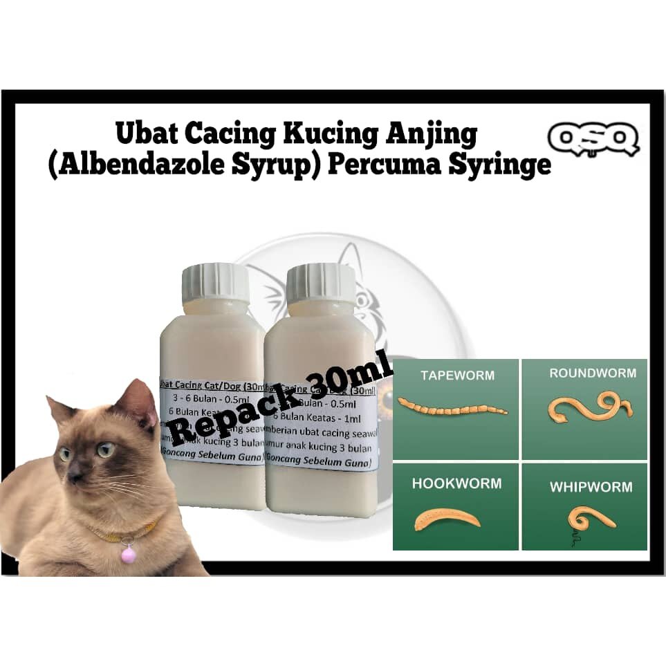 Brewers Yeast Vitamin Tambah Selera Makan Dan Sistem Imunisasi Badan Kucing Anjing Supplement Kurangkan Bulu Gugur Lazada