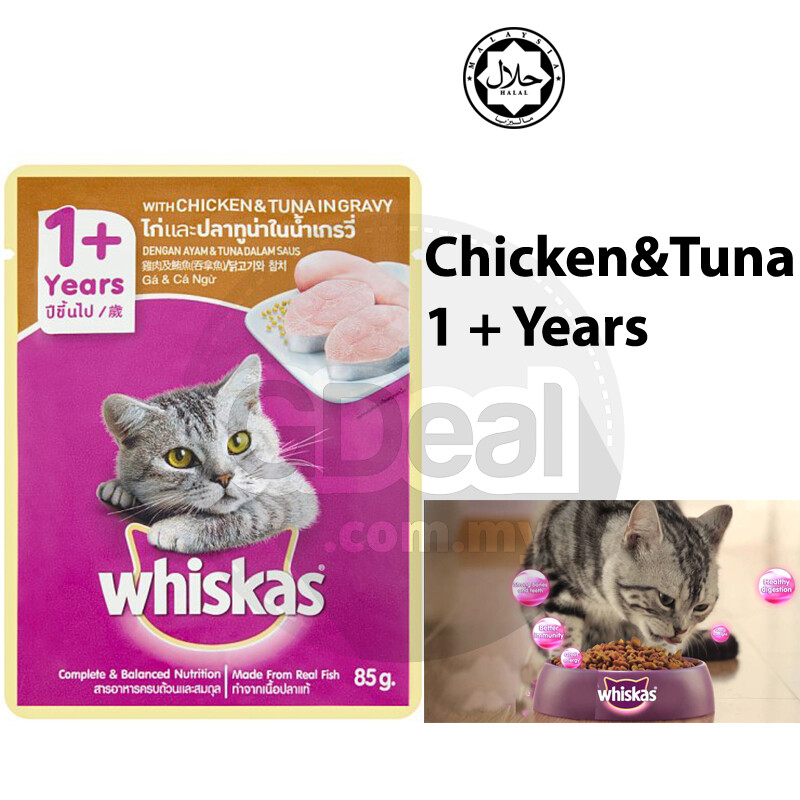 wet food kucing whiskas