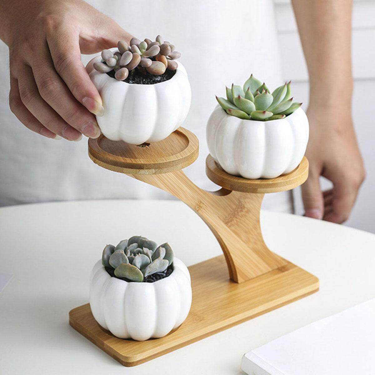 Ceramic Pots With 3-Tier Bamboo Shelf
