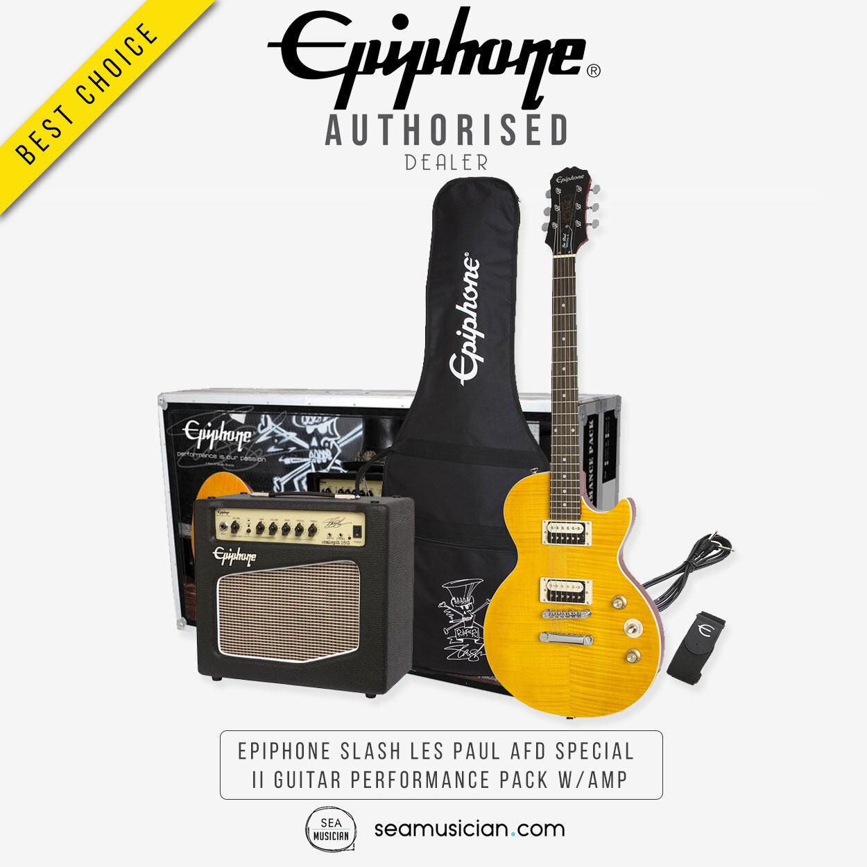 epiphone accessories