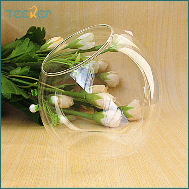 Teeker bể cá sinh thái bể cá mini để bàn cảnh quan siêu nhỏ bình thủy tinh mọng nước bể cá nhỏ bể cá vàng không có phụ kiện trang trí