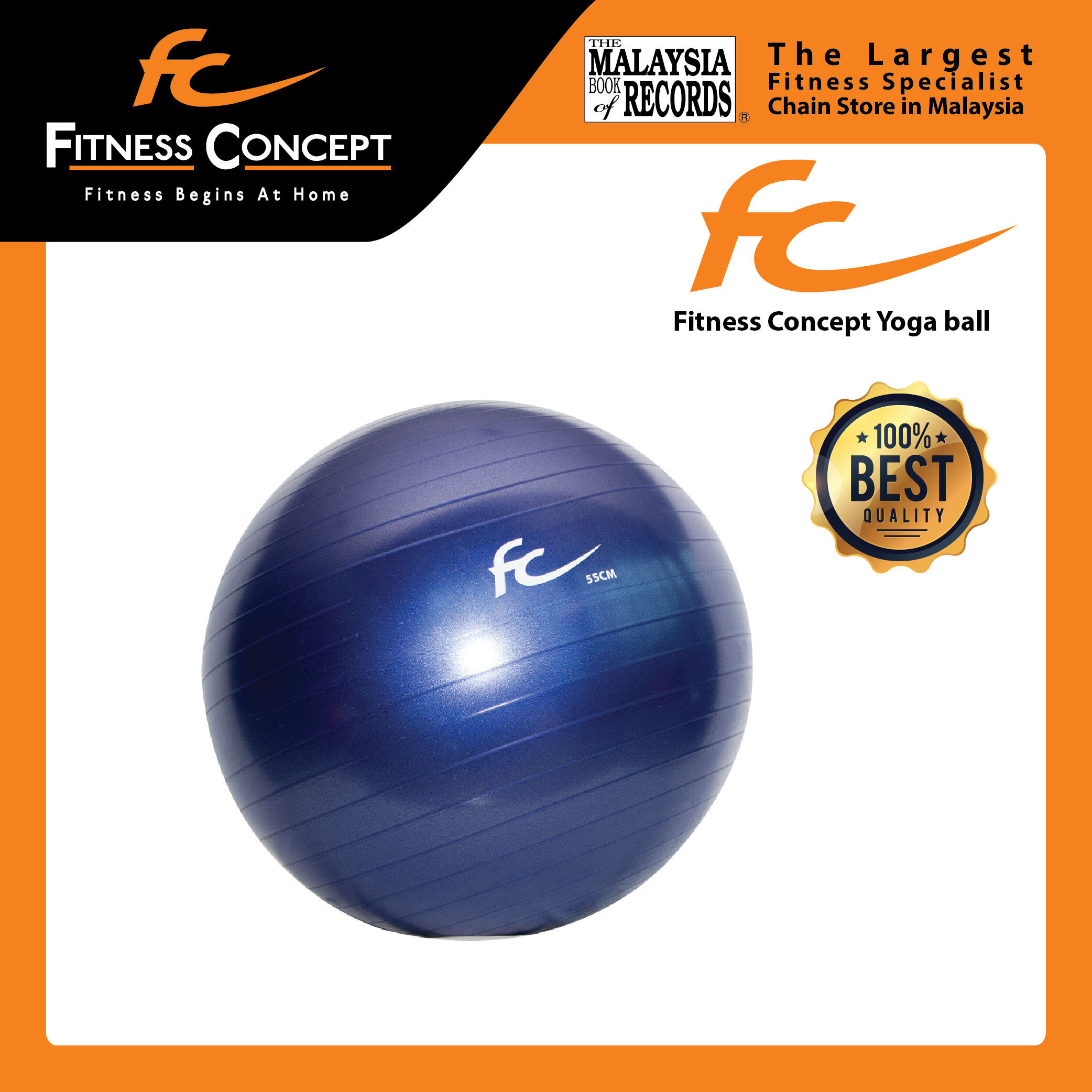 largest exercise ball