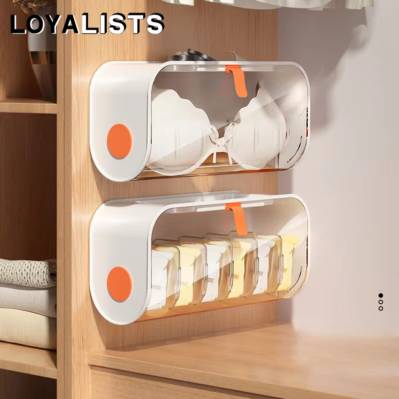 Loyalists hộp đựng đồ lót hộp đựng vớ nhiều ngăn gắn tường hộp đựng trong tủ quần áo