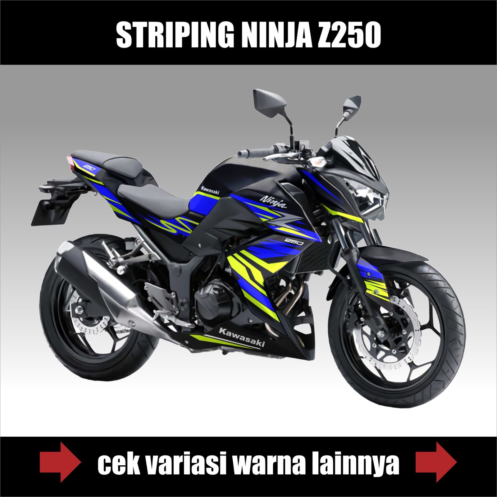 Z250 fairing deals