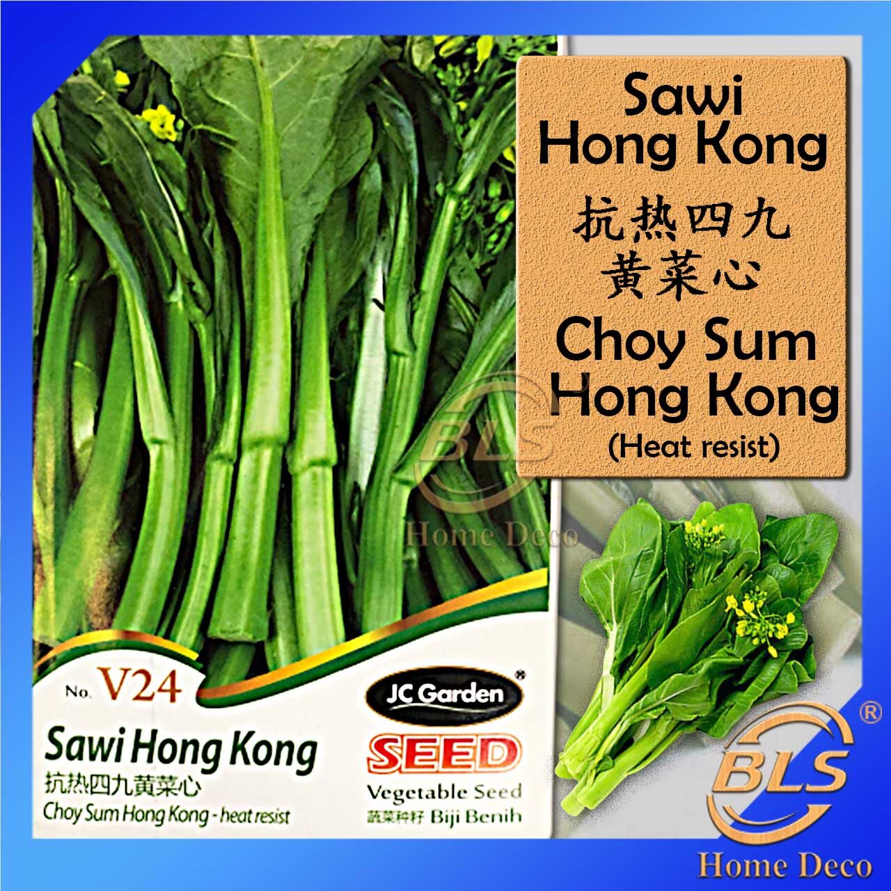 V24 Choy Sum Hong Kong Biji Jc Garden Vegetable Seed Biji Benih Sawi Hong Kong Lazada
