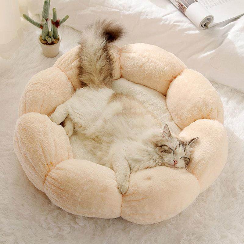 aov giường cho mèo hình hoa giường cho chó siêu mềm thảm cho mèo thú cưng 4