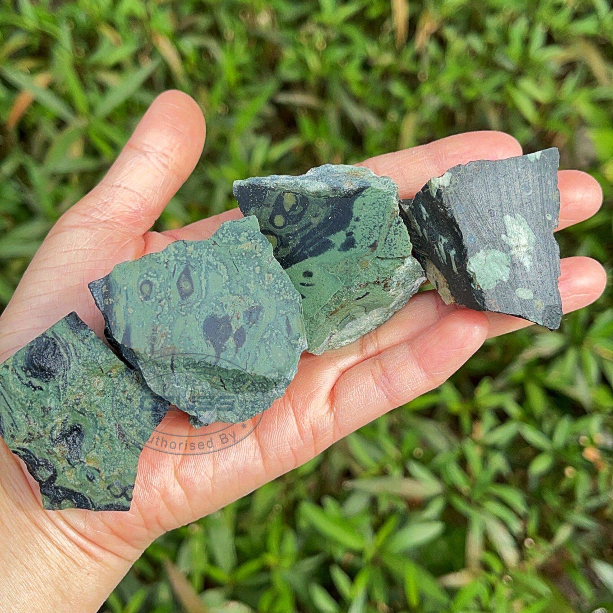 Đá Jasper kambaba thô đá jasper cá sấu thô-tinh thể kambaba jasper thô-jasper Xanh stromatolite thô-Cá Sấu