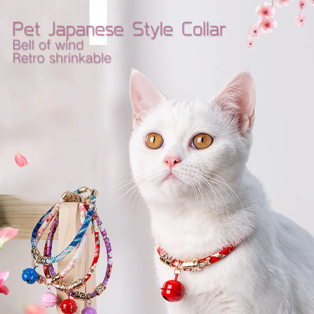 cat and dog accessories