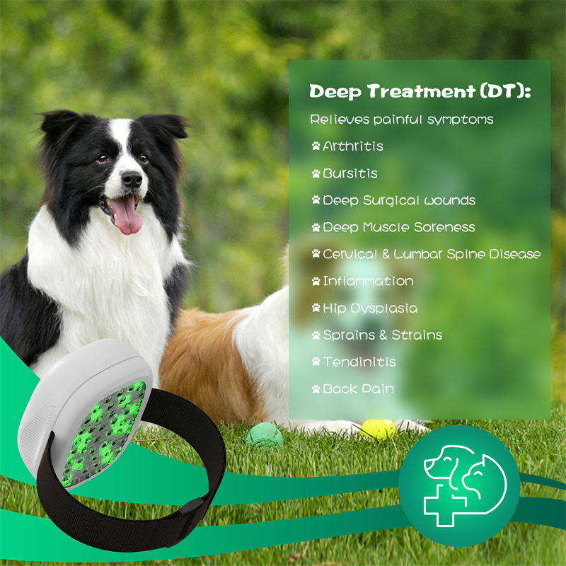 KTS Light Therapy for Dogs and Pets - LED Light Therapy for Pain Relief, Muscle & Joint Pain from Dog Arthritis, Reduce Inflammation, Heal Wounds, & Clear Skin Infections with 2 Therapy Modules ราคา 6,590 บาท*ส่งฟรี