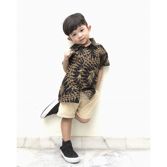 Buy Kemeja Budak Lelaki Batik Online at a Better Price Lazada