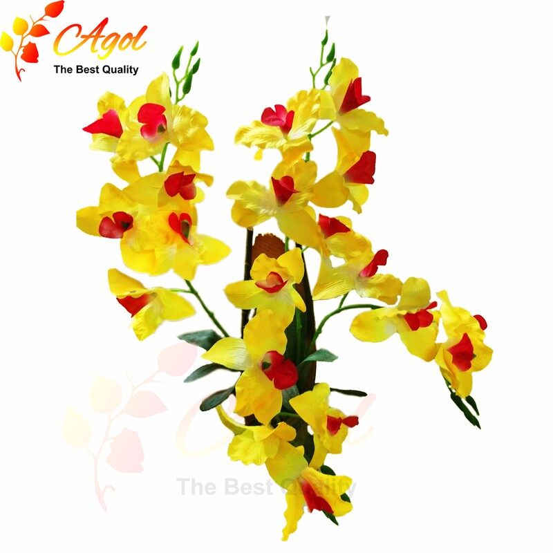 Lan treo tường tím 3