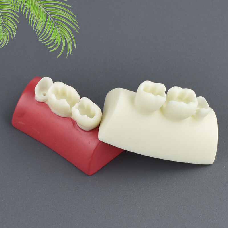 Nha khoa nhựa khối điền tập thể dục Inlay thực hành mô hình nha khoa