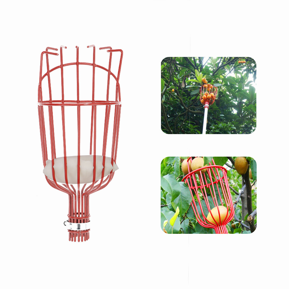 Fruit Picker Lightweight Convenient Durable Portable Pear 初回限定