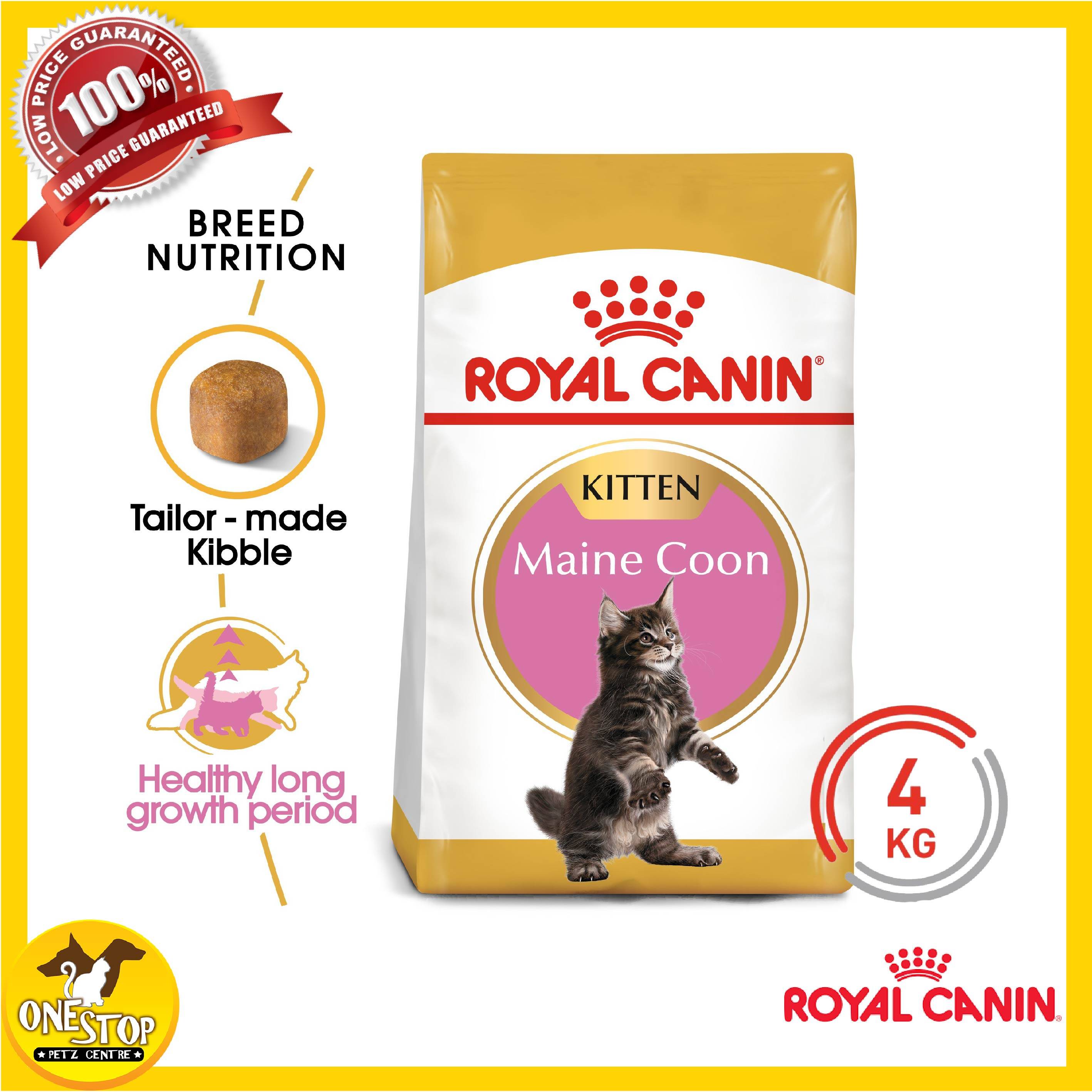 royal canin maine coon 10kg best price