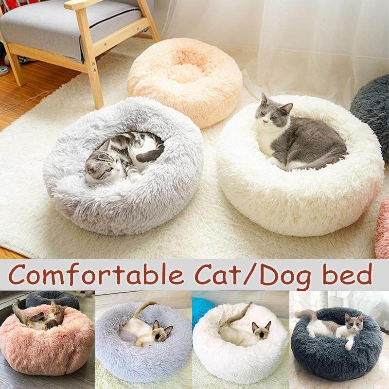 comfortable cat bed