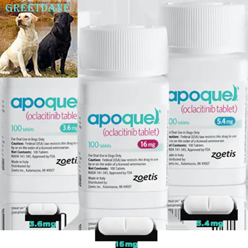 best price for apoquel 16 mg