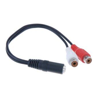 35mm-female-stereo-audio-plug-to-2-rca-female-y-splitter-cable-1484742751-4332572-e69c9fe0a7104743620df50c0c611748-product.jpg