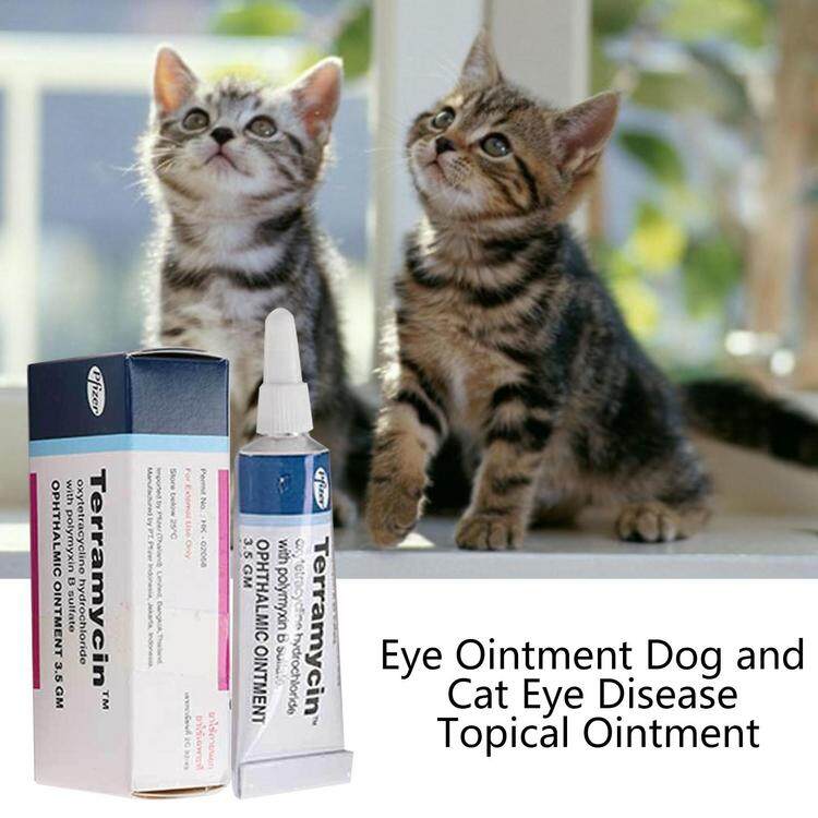 Tetracycline eye outlet drops for cats