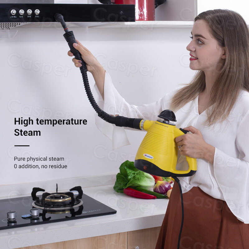 the pure steam cleaner