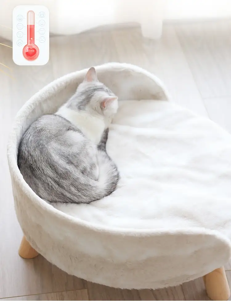 cat bed with legs