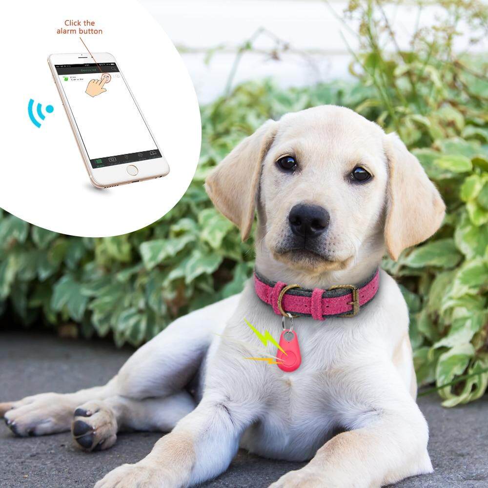 Hewan Peliharaan Pelacak GPS Pintar Mini Anti Lost Tahan Air Alat Pencari Bluetooth Tracer Untuk Anjing Peliharaan Kucing Mobil Anak Anak Dompet Kunci Hewan Peliharaan Pelacak GPS Pintar Mini Anti Lost Tahan Air Alat Pencari Bluetooth Tracer Untuk Anjing Peliharaan Kucing Mobil Anak Anak Dompet Kunci