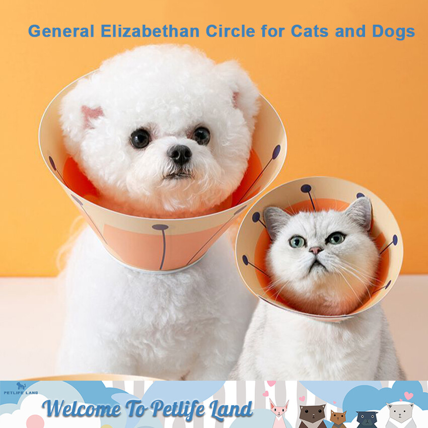 Petlifeand vòng cổ elizabeth cho thú cưng vòng cổ sau phẫu thuật mũ đội đầu chống liếm vòng cổ chống trầy xước đồ dùng sau trung tính thông dụng cho chó mèo phụ kiện chó mới