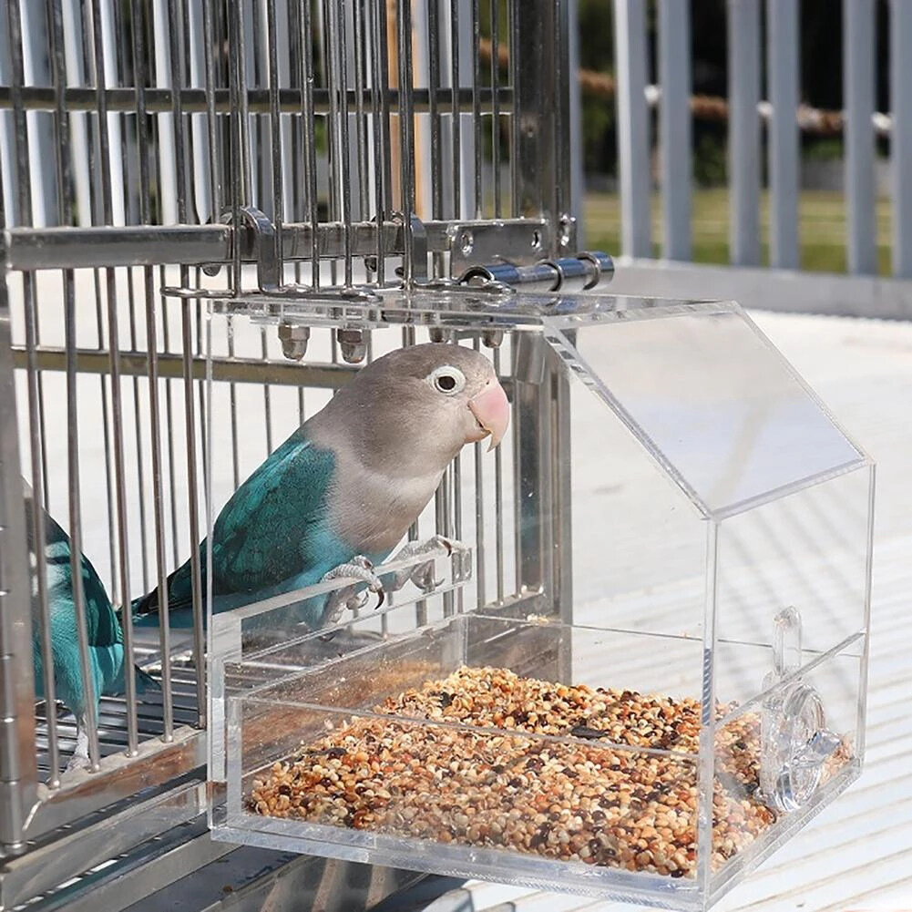 no mess parakeet feeder