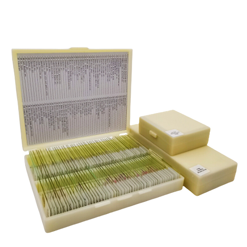 100pcs Basic Animal Plant Insect Cell Biological Prepared Glass Slides Microscope Biology Specimen