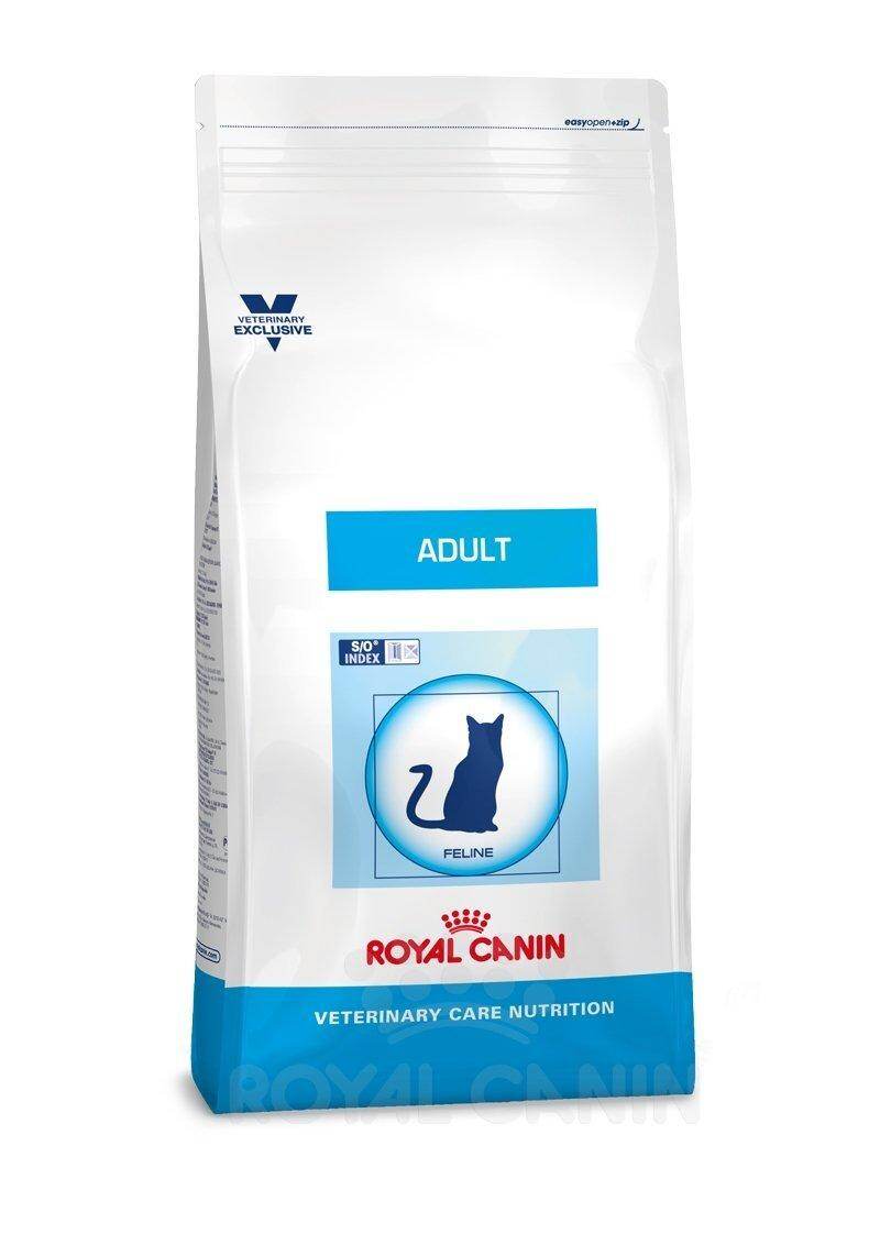 royal canin mature cat