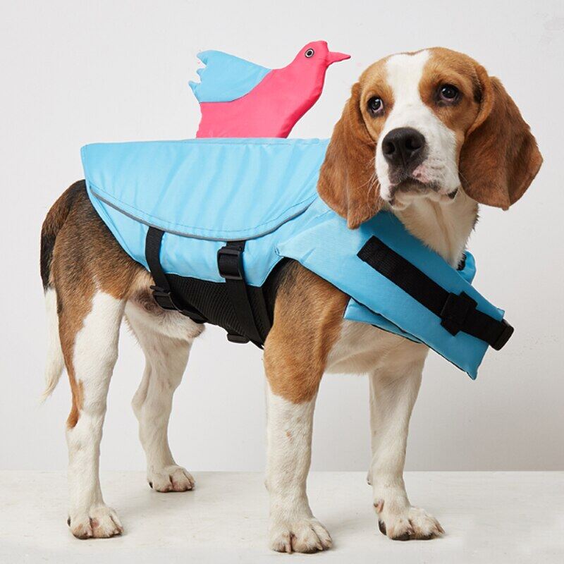 dog swim jacket