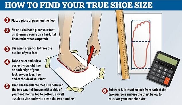 22.5 cm foot size