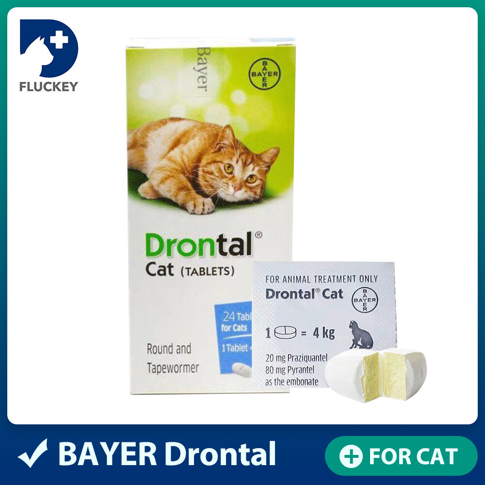 Máy tính bảng Mèo Drontal để điều trị và kiểm soát giun đường ruột ở mèo deworm wormer