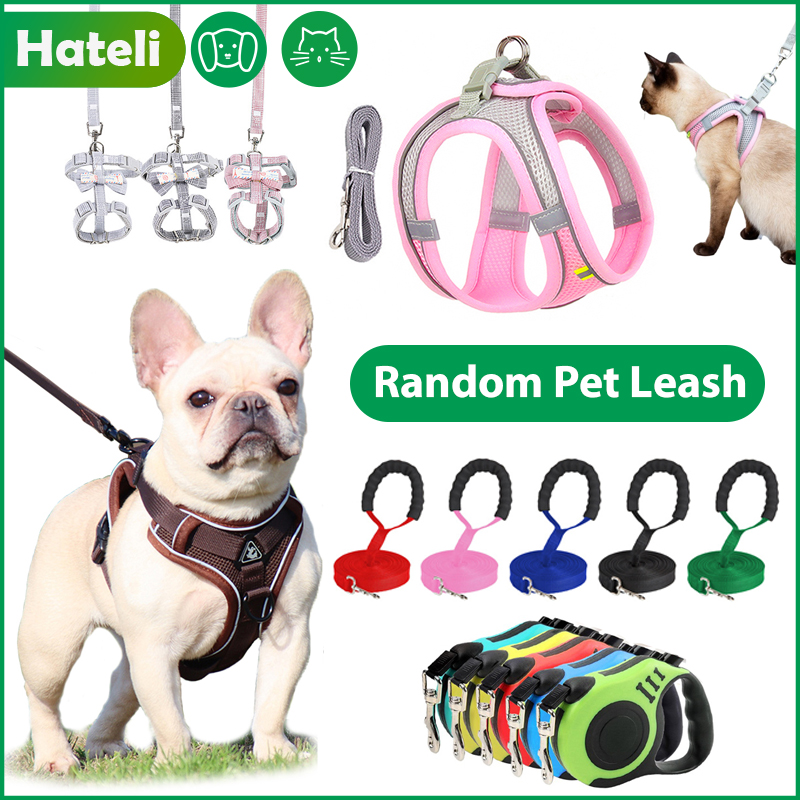 Hateli 1 chiếc dây nịt ngẫu nhiên mèo cưng dây dắt chó cún con mèo con đi dạo bộ đai và dây dắt ngực thú cưng