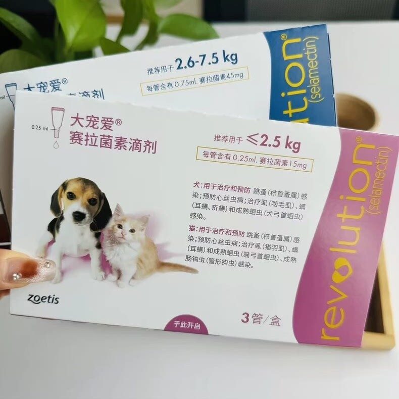 ZOETIS Revolution - 1 ống Nhỏ Gáy Phòng Ngừa & Loại Trừ Bọ Ve Rận Mèo (không hộp)