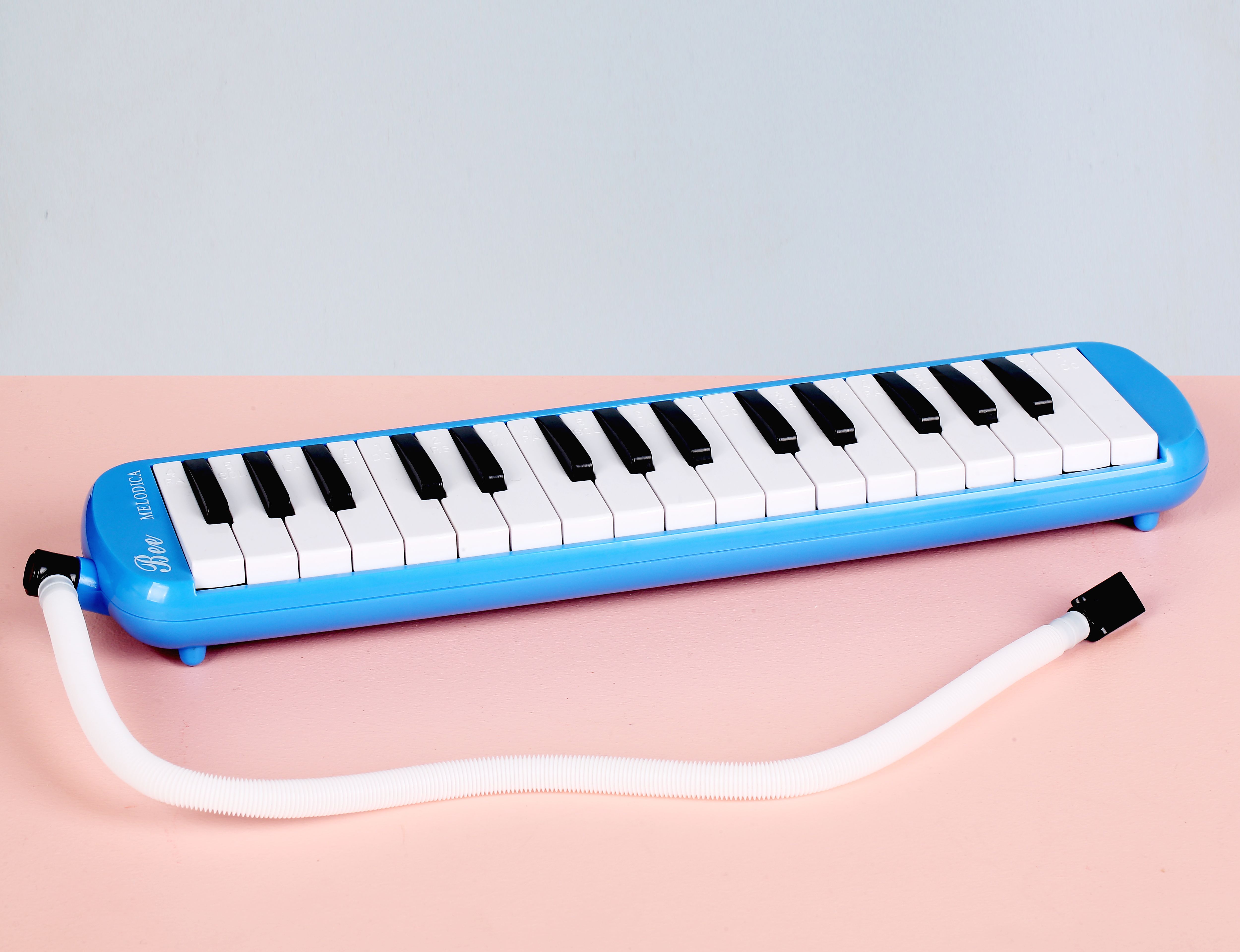 Easttop 32 Phím Melodica Với Bàn Phím Đàn Piano Ống Linh Hoạt Đàn Organ Với Hộp Đóng Gói Tinh Tế Quà Tặng Âm Nhạc Cho Người Mới Bắt Đầu Và Trẻ Em