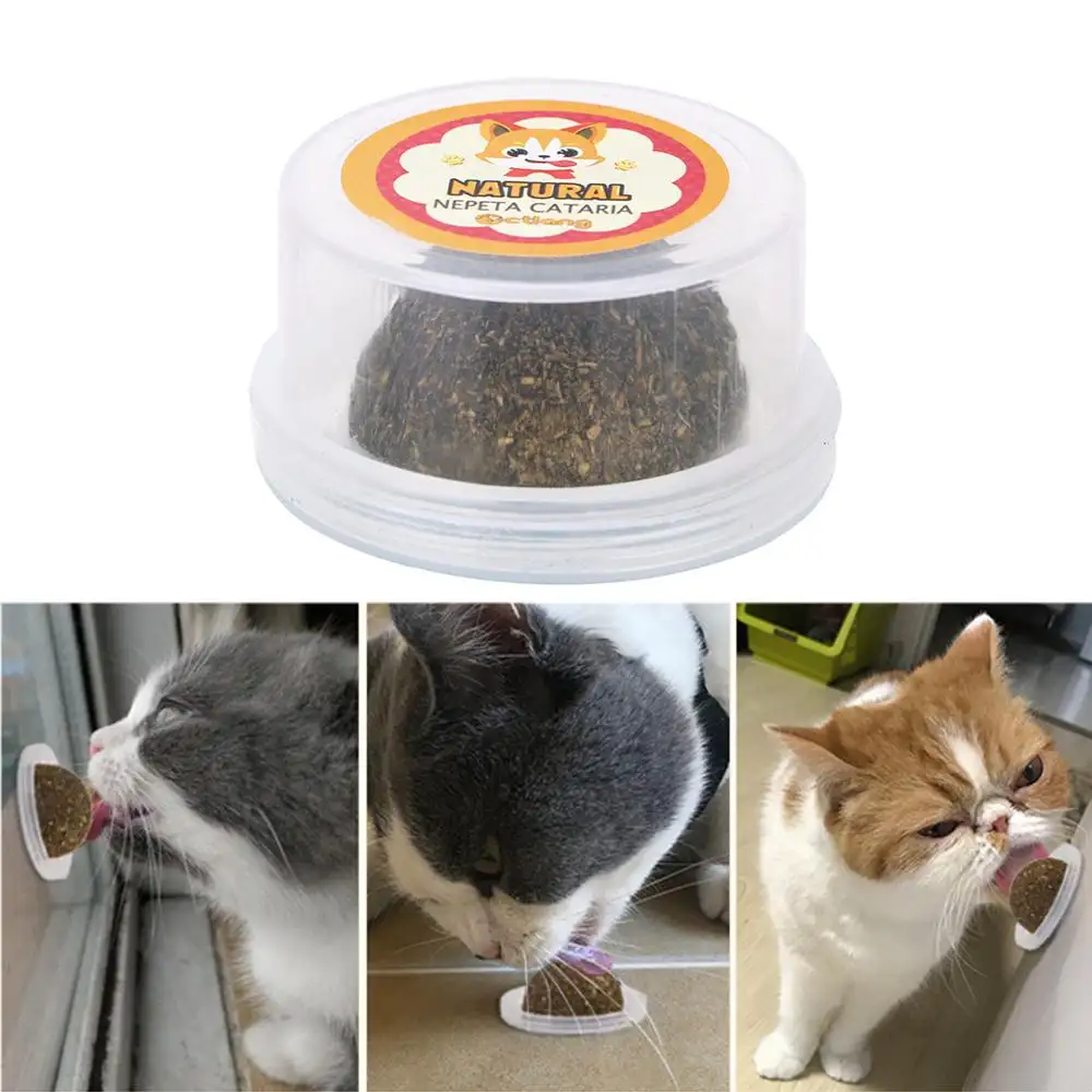 edible cat toys