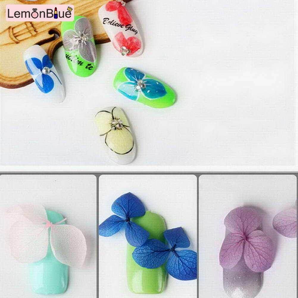 Gambar LemonBlue 12 Color Dried Flowers Nail Art Sticker Petal Shaped Nail Manicure Decal with Tweezer