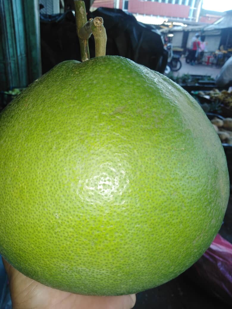 Mango Kim Leng Fresh Sweet Mango Golden Kim Leng 黄金金龙