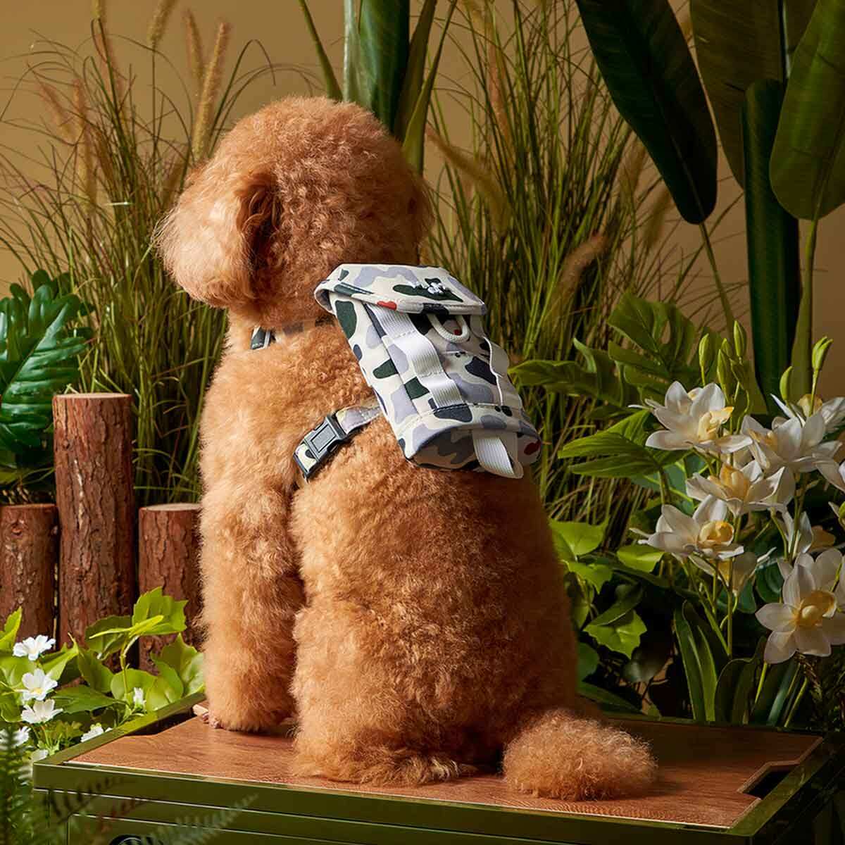 【Pet Series】MAH2023 new pet camouflage poop pick-up bag with convenient storage for dogs and cats - ยี่ห้อ MAH ราคา 845 บาท*ส่งฟรี